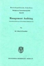 Management Auditing.