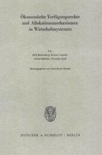 Ökonomische Verfügungsrechte und Allokationsmechanismen in Wirtschaftssystemen.