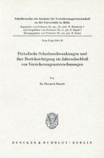 Periodische Schadenschwankungen und ihre Berücksichtigung im Jahresabschluß von Versicherungsunternehmen.