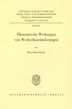 Ökonomische Wirkungen von Wechselkursänderungen.