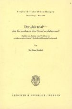 Der »fair trial« - ein Grundsatz des Strafverfahrens?