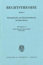 Ideologiekritik und Demokratietheorie bei Hans Kelsen.