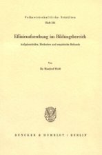 Effizienzforschung im Bildungsbereich.