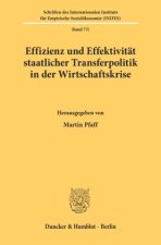 Effizienz und Effektivität staatlicher Transferpolitik in der Wirtschaftskrise.