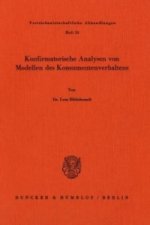 Konfirmatorische Analysen von Modellen des Konsumverhaltens.