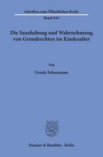 Die Innehabung und Wahrnehmung von Grundrechten im Kindesalter.