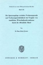 Die Spannungslage zwischen Verfassungsrecht und Verfassungswirklichkeit bei Vergabe von staatlichen Wirtschaftssubventionen durch die öffentliche Hand