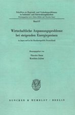 Wirtschaftliche Anpassungsprobleme bei steigenden Energiepreisen