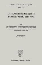 Das Arbeitskräfteangebot zwischen Markt und Plan.