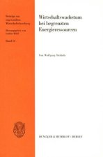 Wirtschaftswachstum bei begrenzten Energieressourcen.