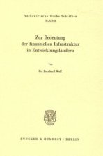Zur Bedeutung der finanziellen Infrastruktur in Entwicklungsländern.