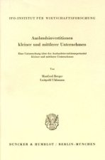 Auslandsinvestitionen kleiner und mittlerer Unternehmen.