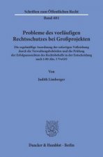 Probleme des vorläufigen Rechtsschutzes bei Großprojekten.