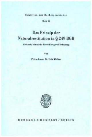 Das Prinzip der Naturalrestitution in 249 BGB.