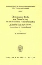 Ökonomisches Risiko und Versicherung in sozialistischen Volkswirtschaften.
