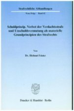 Schuldprinzip, Verbot der Verdachtsstrafe und Unschuldsvermutung als materielle Grundprinzipien des Strafrechts.