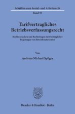 Tarifvertragliches Betriebsverfassungsrecht.