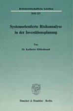 Systemorientierte Risikoanalyse in der Investitionsplanung.