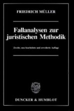 Fallanalysen zur juristischen Methodik.