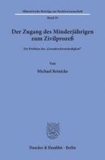 Der Zugang des Minderjährigen zum Zivilprozeß.