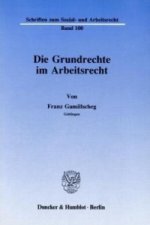 Die Grundrechte im Arbeitsrecht.