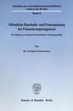 Öffentliche Haushalts- und Finanzplanung bei Finanzierungsengpässen.