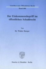 Der Einkommensbegriff im öffentlichen Schuldrecht.
