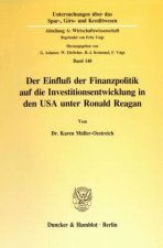 Der Einfluß der Finanzpolitik auf die Investitionsentwicklung in den USA unter Ronald Reagan.