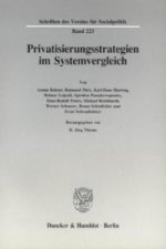 Privatisierungsstrategien im Systemvergleich.