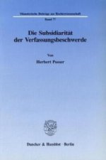Die Subsidiarität der Verfassungsbeschwerde.