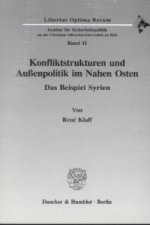 Konfliktstrukturen und Außenpolitik im Nahen Osten.