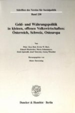 Geld- und Währungspolitik in kleinen, offenen Volkswirtschaften.