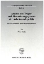 Analyse des Träger- und Finanzierungssystems der Arbeitsmarktpolitik.