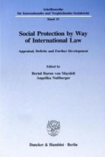 Social Protection by Way of International Law.