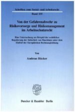 Von der Gefahrenabwehr zu Risikovorsorge und Risikomanagement im Arbeitsschutzrecht.