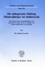 Die unbegrenzte Haftung Minderjähriger im Deliktsrecht.