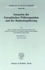 Szenarien der Europäischen Währungsunion und der Bankenregulierung.