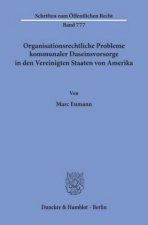 Organisationsrechtliche Probleme kommunaler Daseinsvorsorge in den Vereinigten Staaten von Amerika.