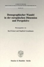 Demographischer Wandel in der europäischen Dimension und Perspektive.