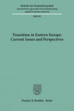 Transition in Eastern Europe: Current Issues and Perspectives.