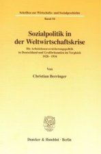 Sozialpolitik in der Weltwirtschaftskrise.