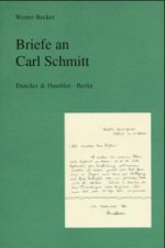 Briefe an Carl Schmitt.