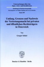 Umfang, Grenzen und Nachweis der Vertretungsmacht bei privaten und öffentlichen Rechtsträgern in Österreich.