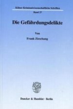 Die Gefährdungsdelikte.