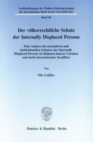 Der völkerrechtliche Schutz der Internally Displaced Persons.