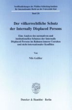 Der völkerrechtliche Schutz der Internally Displaced Persons.