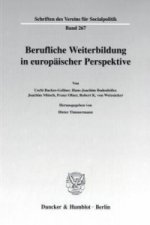 Berufliche Weiterbildung in europäischer Perspektive.