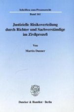 Justizielle Risikoverteilung durch Richter und Sachverständige im Zivilprozeß.