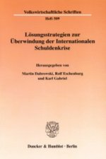 Lösungsstrategien zur Überwindung der Internationalen Schuldenkrise.