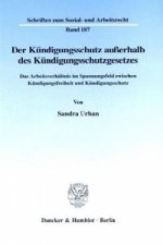 Der Kündigungsschutz außerhalb des Kündigungsschutzgesetzes.